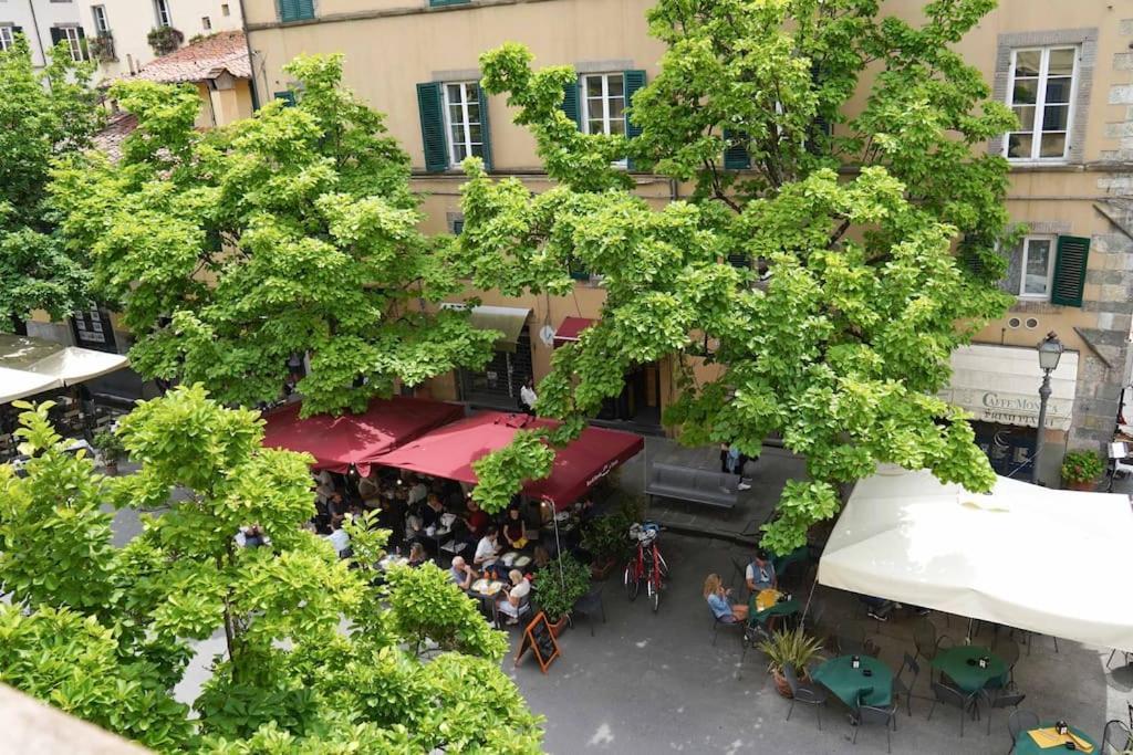 Yema Home-Lucca Dış mekan fotoğraf